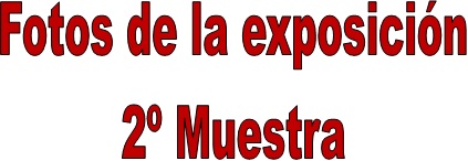 exposicion