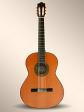 GUITARRA